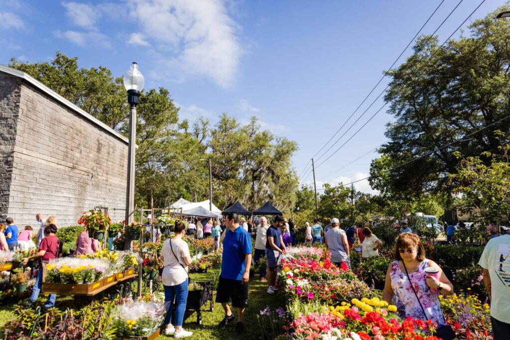 flowers at apopka art and foliage festival