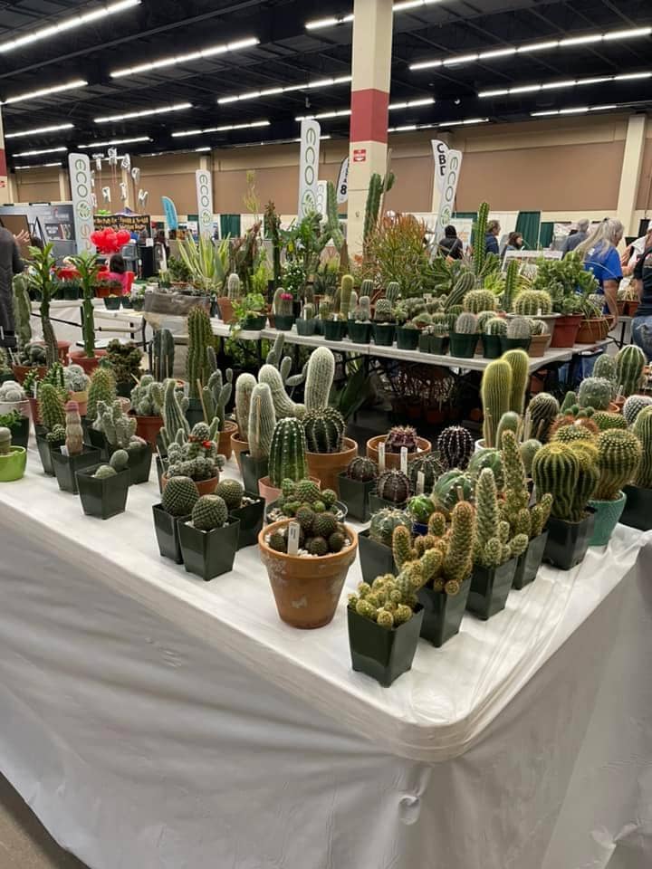 fort worth home and garden show succulents